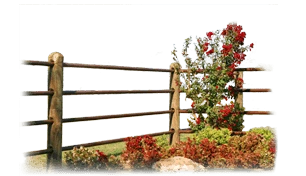 Fence & Fencing Aids