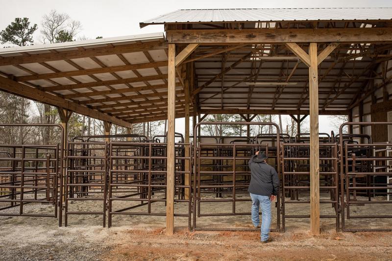 Rough Stock Walk-Thru