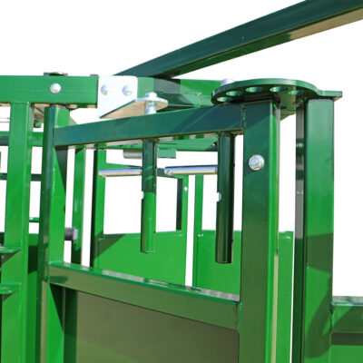 Cattle Sorting Alley