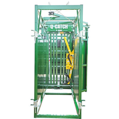 Cattle Sorting Alley