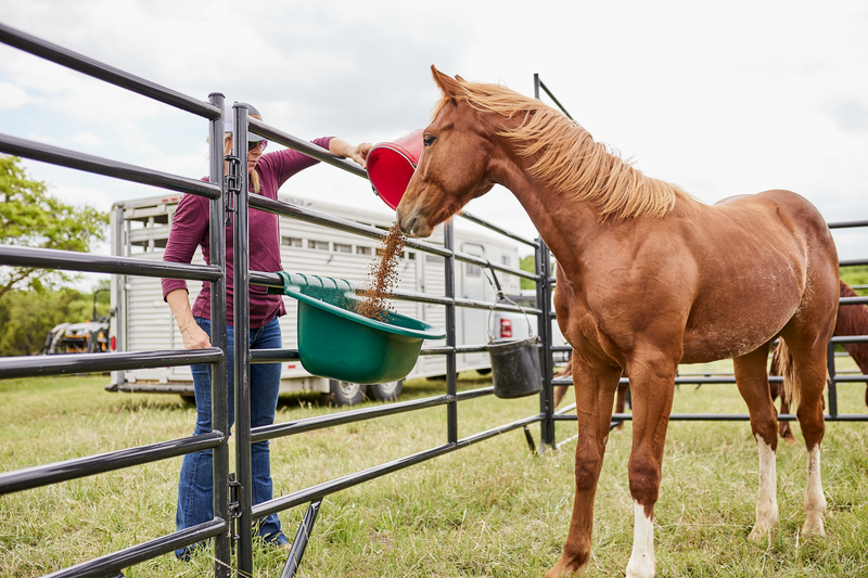 Portable Gate Feeders