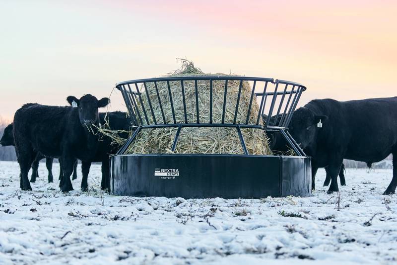 Bextra Heavy Feeders