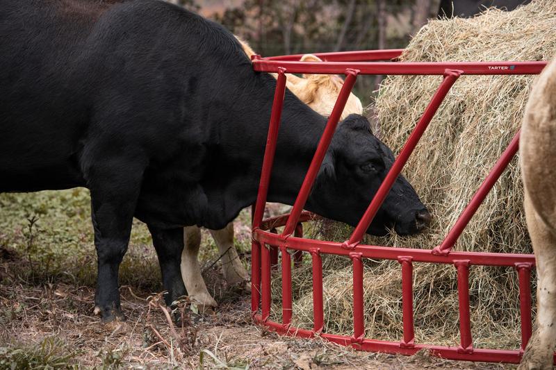 Steelcor Cattle Hay Feeder