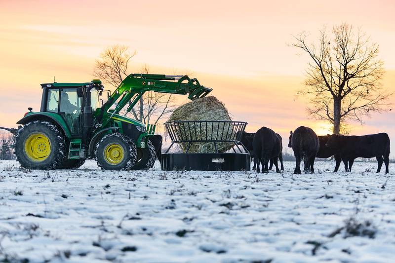 Bextra Heavy Feeders