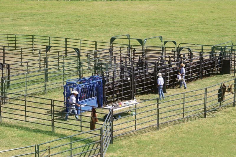 Rough Stock Arena Bow Frames