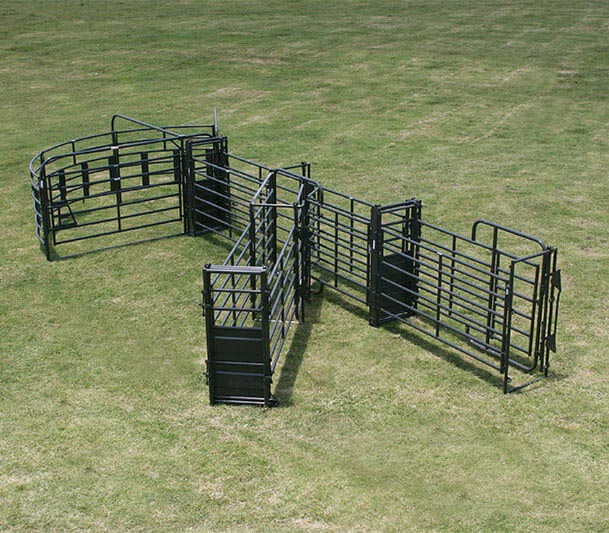 Sweep w/30' Adj. Alley, Sort Alley, Preg Panels, Block & Load Gates