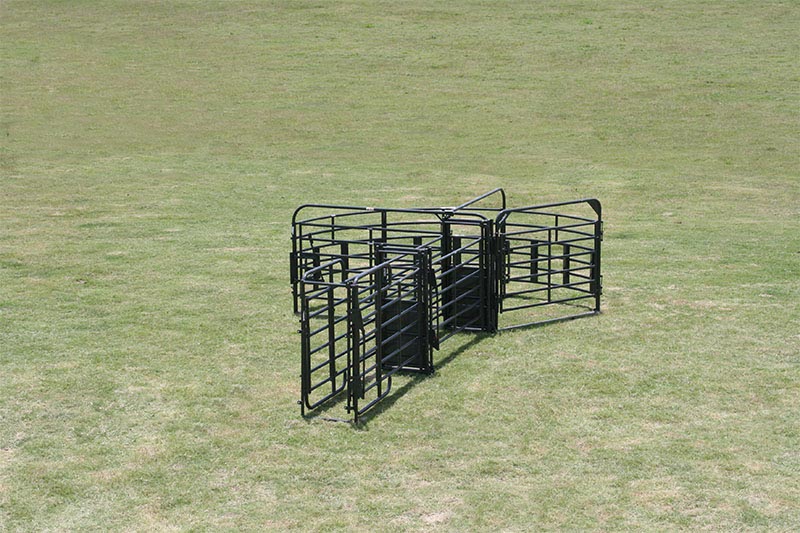 Sweep w/20' Adj. Alley, Preg Panels, Block & Load Gates