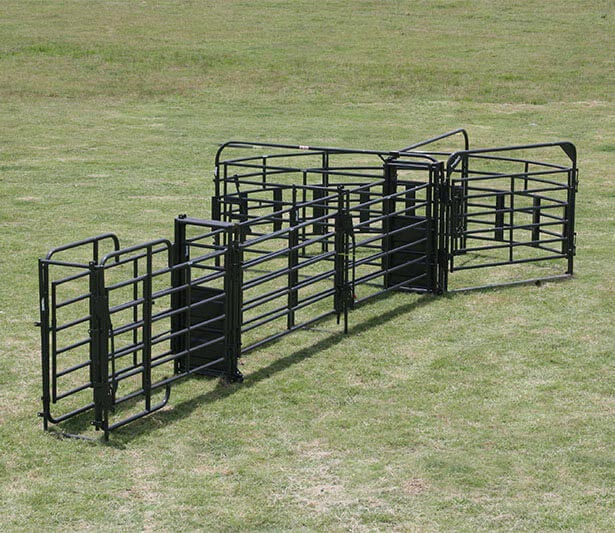 Sweep w/30' Adjustable Alley, Preg Panels, Block Gates & Load Gate