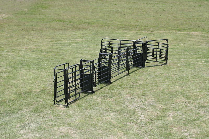 Sweep w/38' Adjustable Alley, Preg Panels, Block Gates & Scale Section