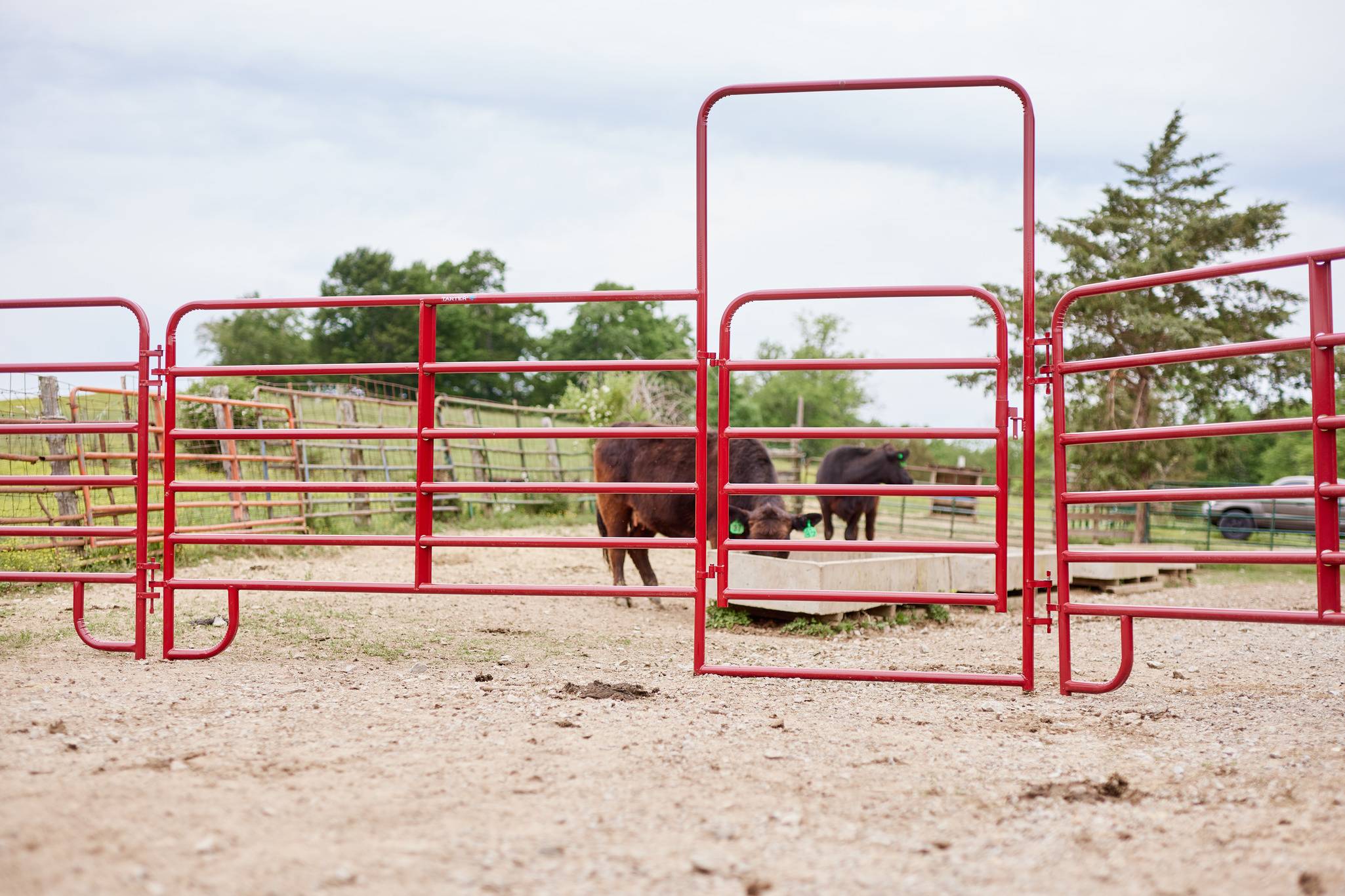 American Panel w/ Walk-Thru