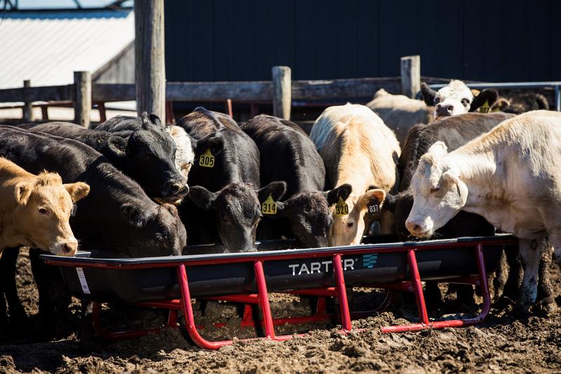 Titan Poly Bunk Feeders