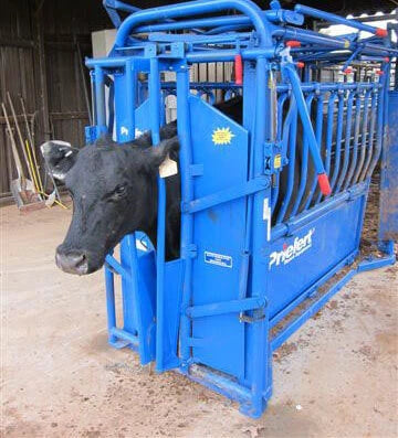 Headgate Neck Extension