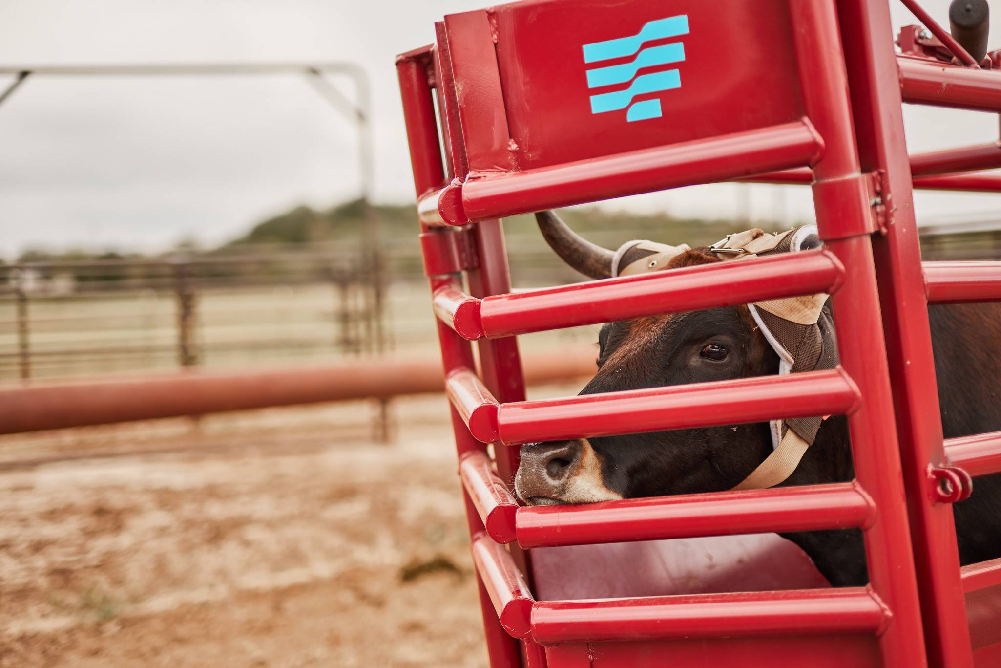 AMERICAN ROPING CHUTE