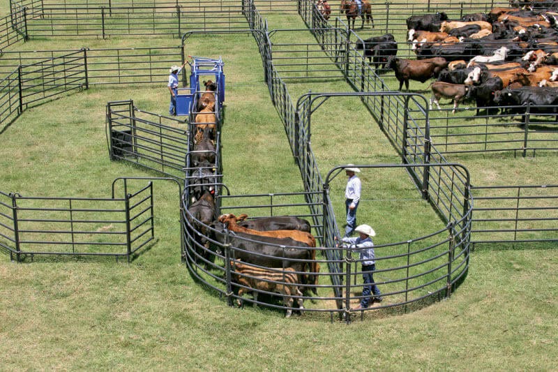 Premier Walk Thru Panels