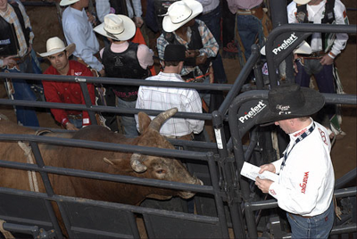 Rough Stock Sheeted Panels