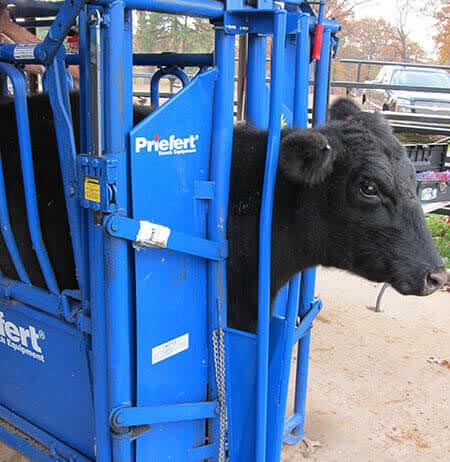 Headgate Neck Extension