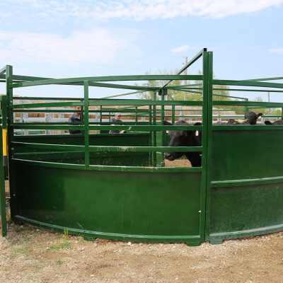 3E BudFlow® Cattle Tub