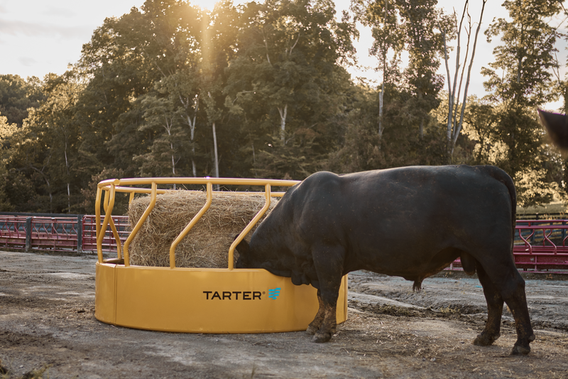 Titan Tall Bull Feeder
