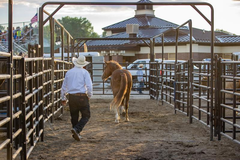Rough Stock Ride-Thru
