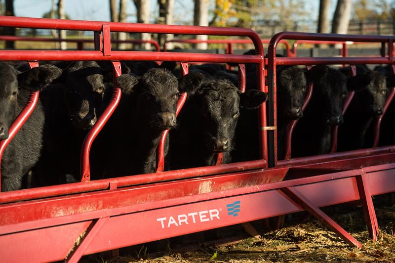 Fence Line Feeder Panel