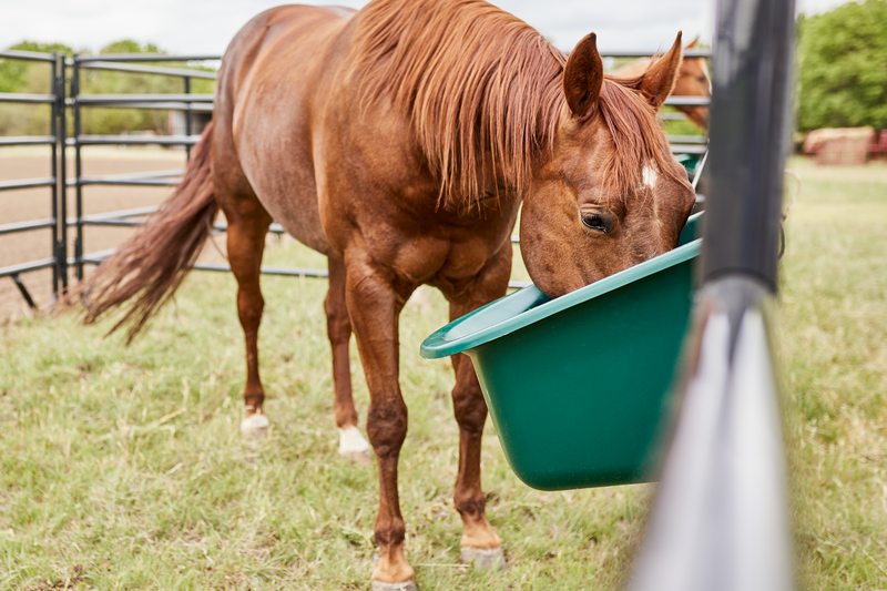 Portable Gate Feeders