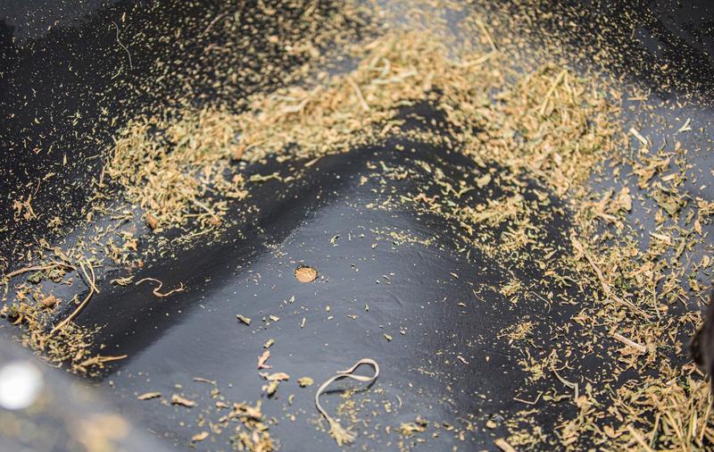 Adjustable Hay & Grain. Feeder