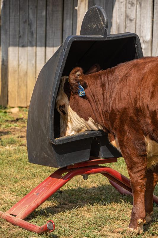 Super-Duty Mineral Feeder