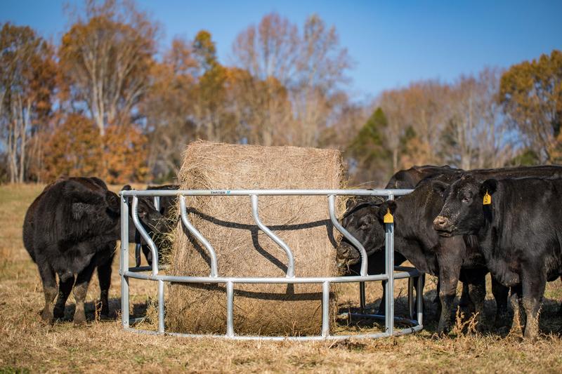 Titan Galvanized Cattle Feeder