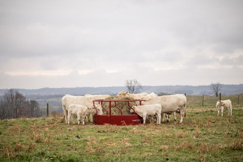 Titan Bull Hay Feeder