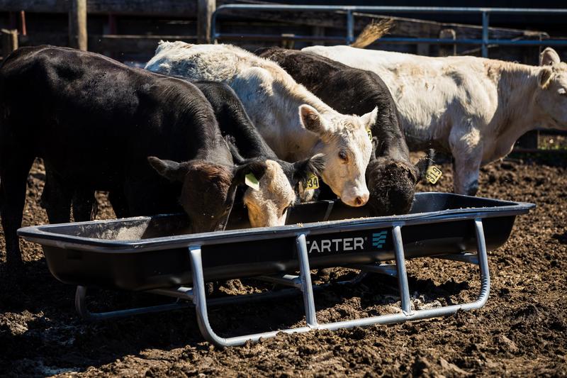 Galvanized Poly Bunk Feeders
