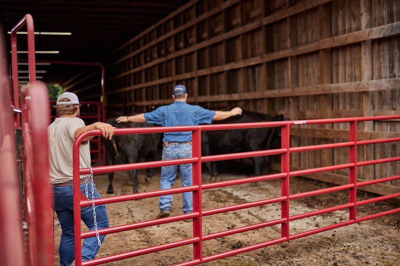 Bullmax HD Round Corner Gate