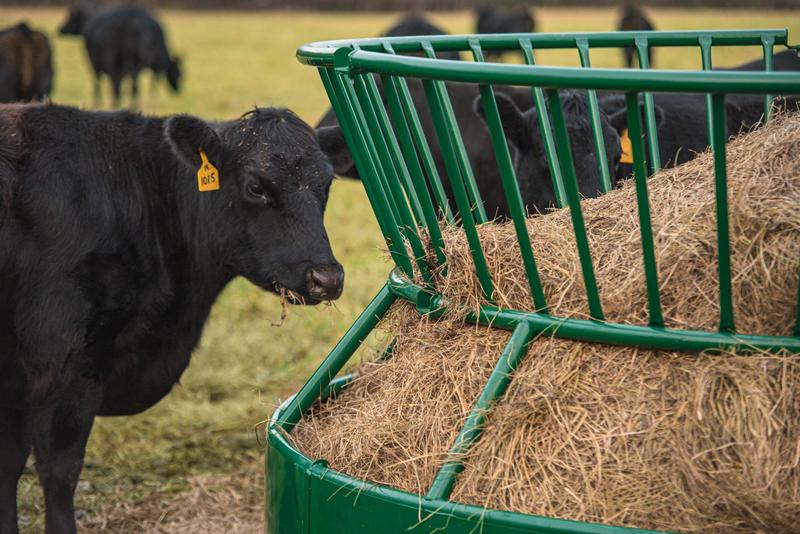 Bextra By Tarter Hay Feeder