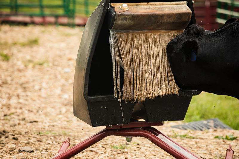Super-Duty Mineral Feeder