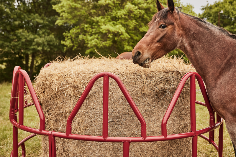 Equine Pro Hay Feeder