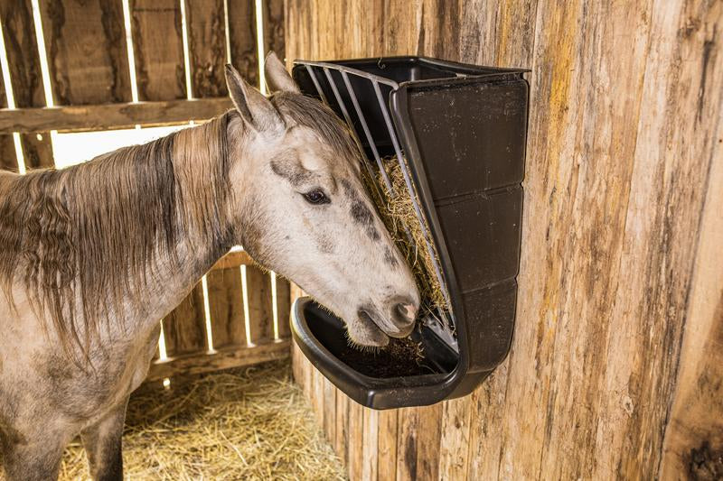 Wall Mount Poly Hay & Grain Feeder