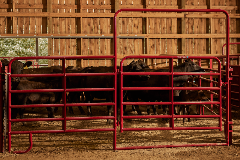 Bullmax Panel W/ Walk-Thru