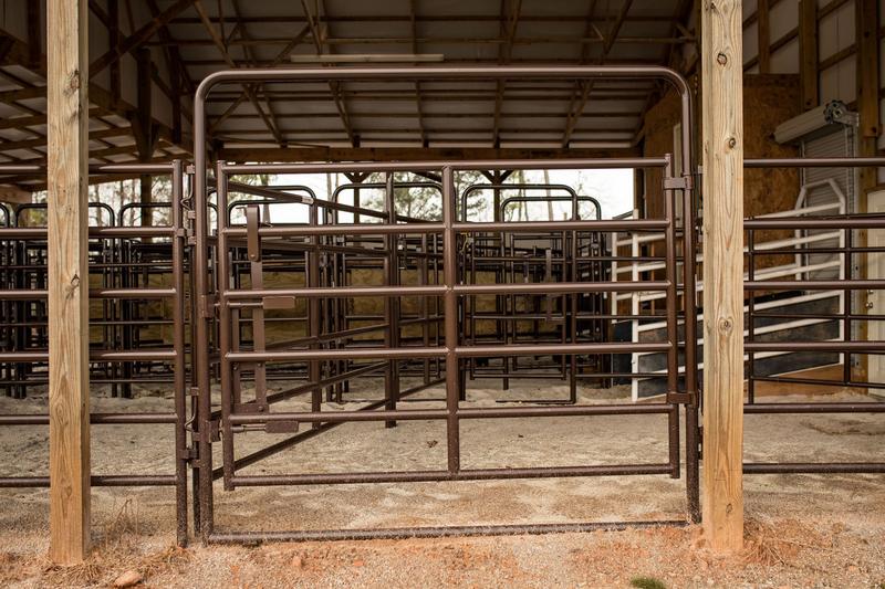 Rough Stock Walk-Thru