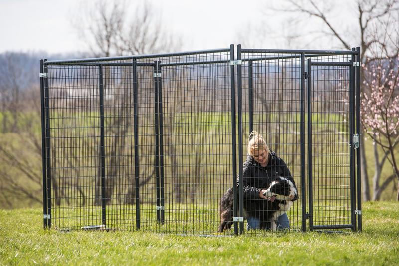 Blue Champion Kennel