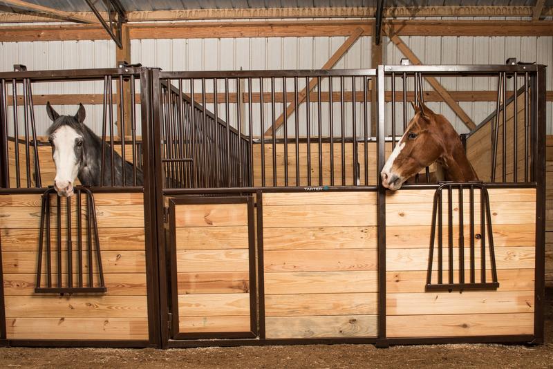 Elite Excel Horse Stall