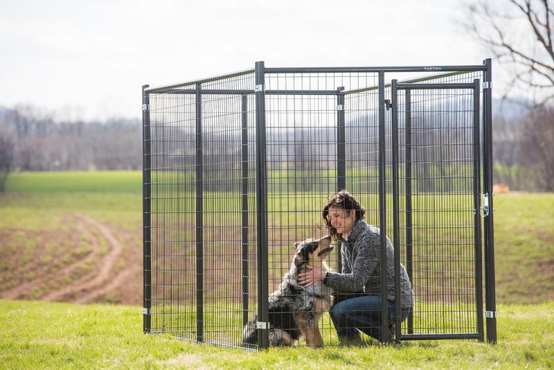 Blue Champion Kennel