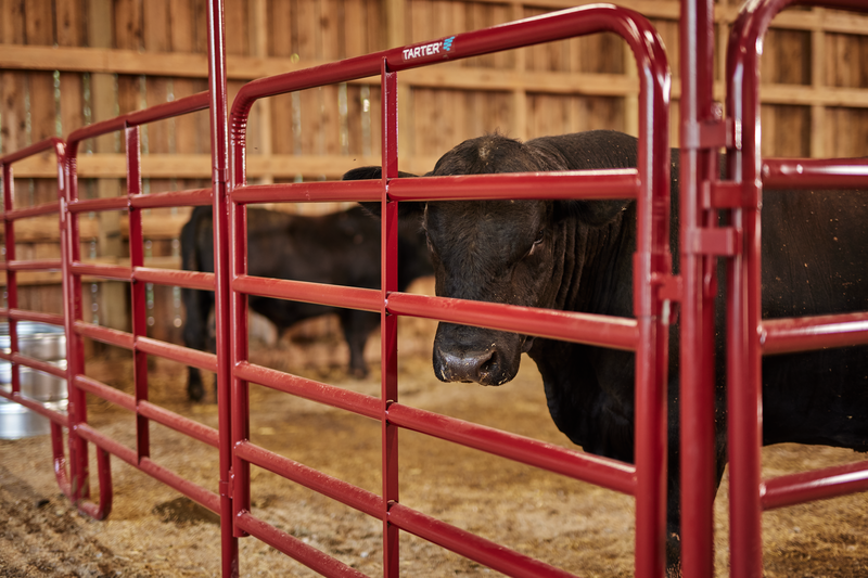 Bullmax Panel W/ Walk-Thru