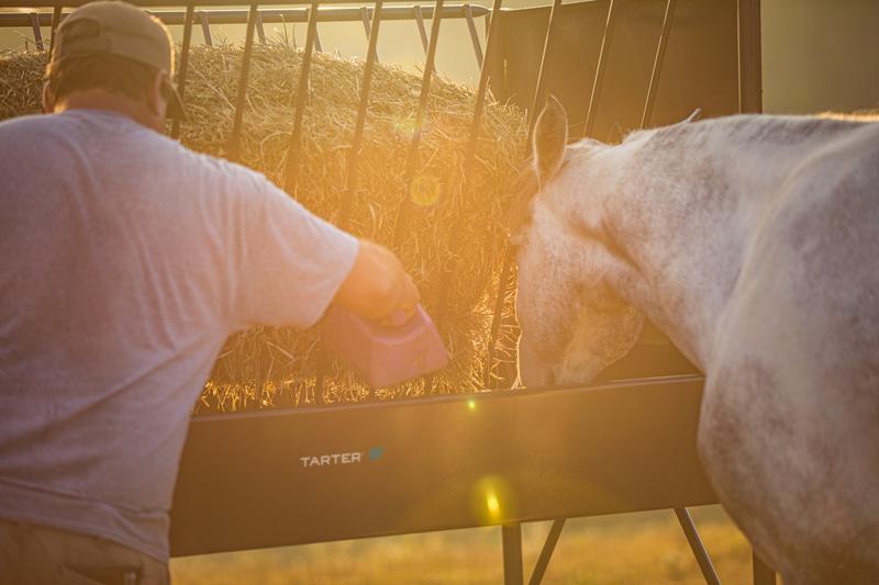 Equine Elevated Hay & Grain Feeder