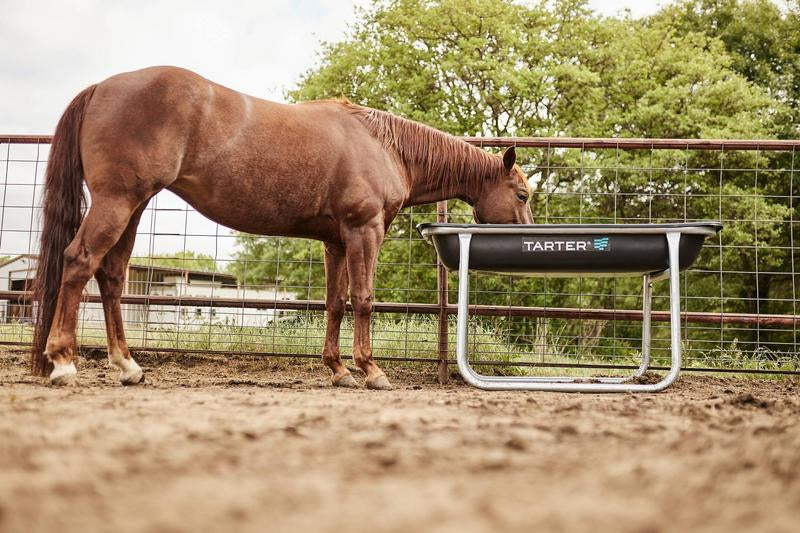 Equine Pro Bunk Feeder