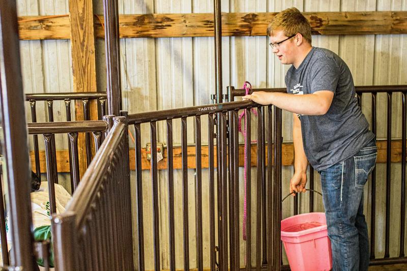 Expo Hog & Sheep Walk-Thru