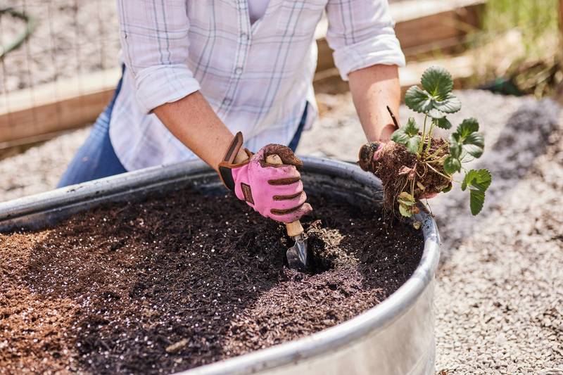 8 ft. Oval Raised Bed Planter