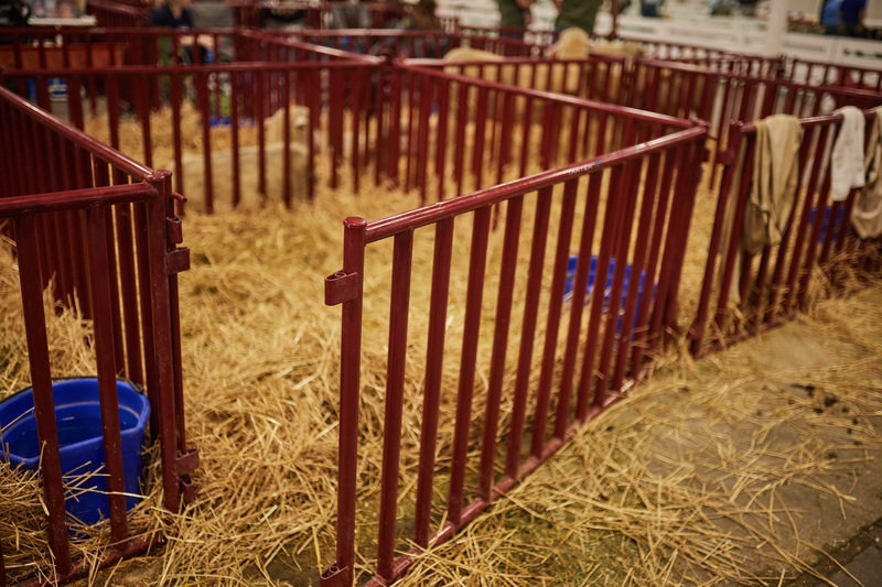 6 FT. Heavy-Duty Vertical Bar Small Animal Panel