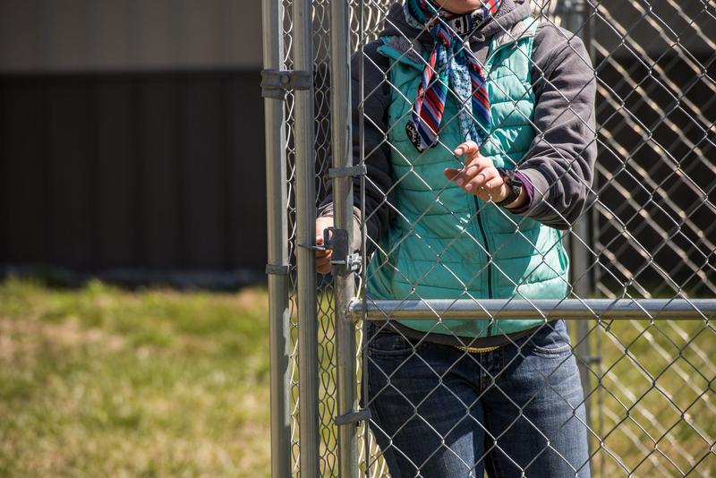 Galvanized Chain Link Kennel