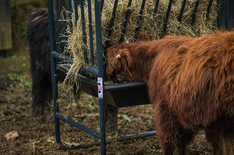 Adjustable Hay & Grain Feeder