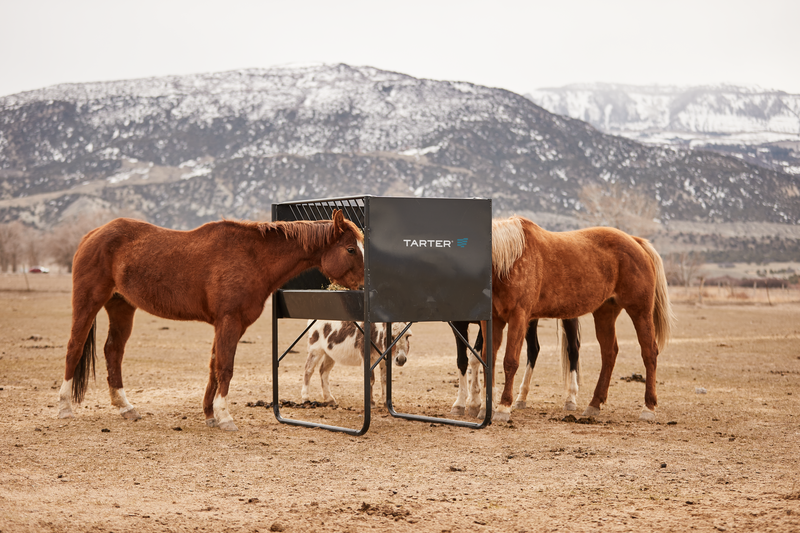 Equine Elevated Hay & Grain Feeder