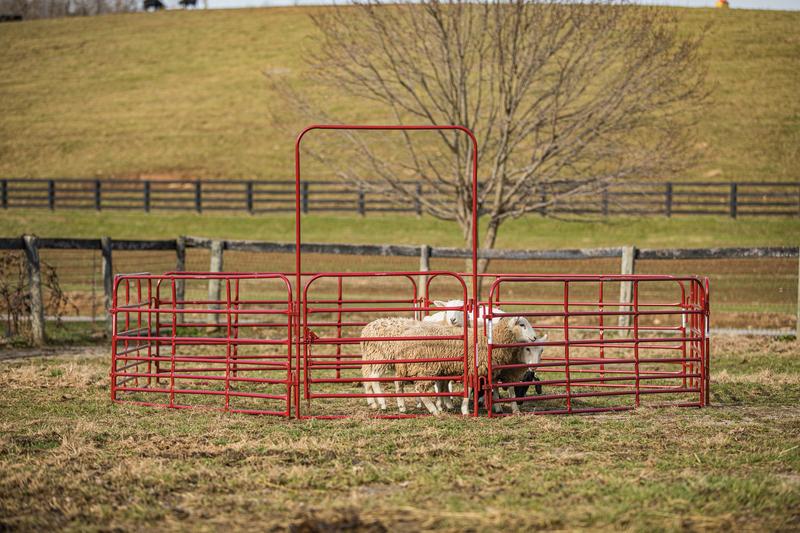 Pipe Panel Walk-Thru